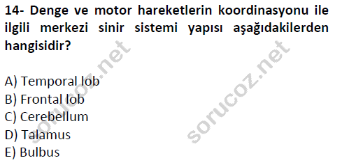 auzef cocukgelisimlisans 51 14