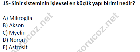 auzef cocukgelisimlisans 51 15