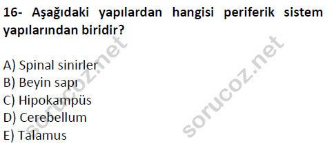 auzef cocukgelisimlisans 51 16