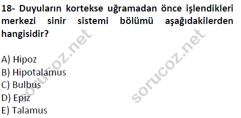 auzef cocukgelisimlisans 51 18