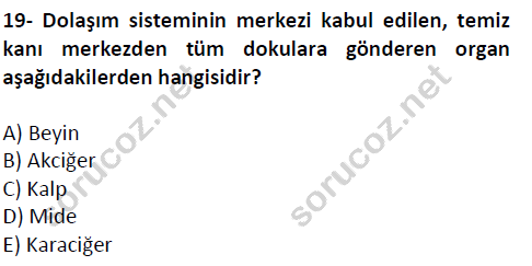 auzef cocukgelisimlisans 51 19