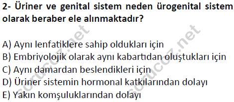 auzef cocukgelisimlisans 51 2