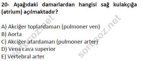 auzef cocukgelisimlisans 51 20