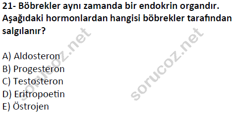 auzef cocukgelisimlisans 51 21