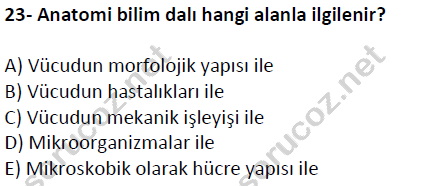 auzef cocukgelisimlisans 51 23