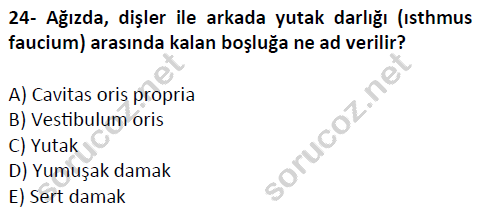 auzef cocukgelisimlisans 51 24