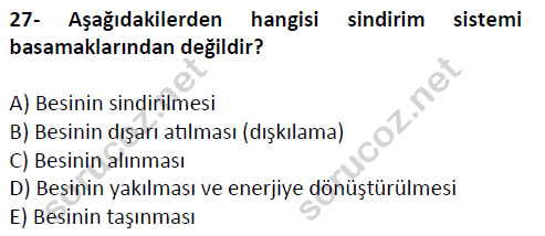 auzef cocukgelisimlisans 51 27