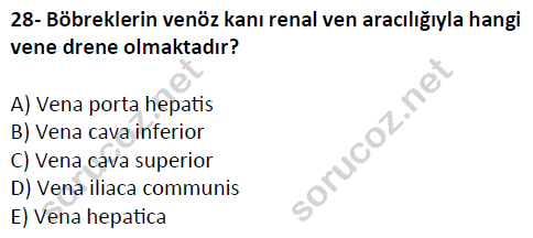 auzef cocukgelisimlisans 51 28