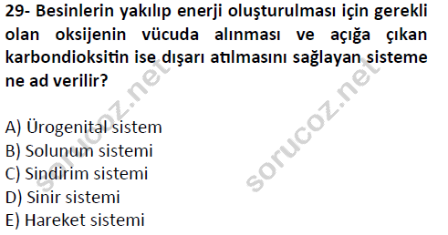 auzef cocukgelisimlisans 51 29