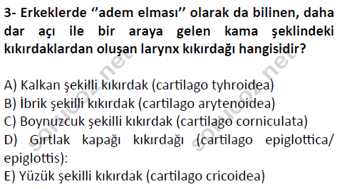 auzef cocukgelisimlisans 51 3