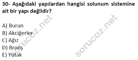 auzef cocukgelisimlisans 51 30