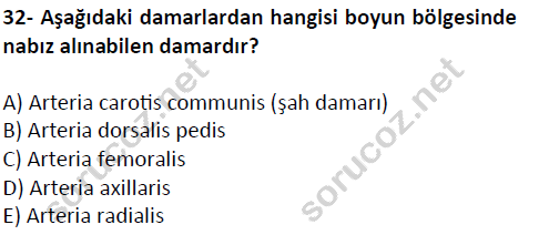 auzef cocukgelisimlisans 51 32