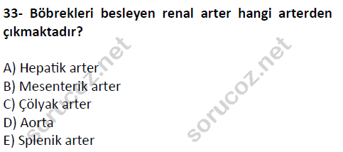 auzef cocukgelisimlisans 51 33