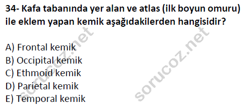 auzef cocukgelisimlisans 51 34