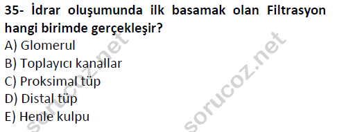 auzef cocukgelisimlisans 51 35