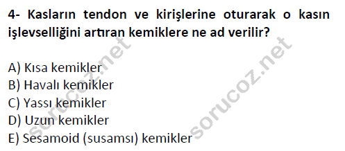 auzef cocukgelisimlisans 51 4