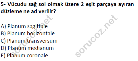 auzef cocukgelisimlisans 51 5