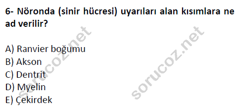 auzef cocukgelisimlisans 51 6