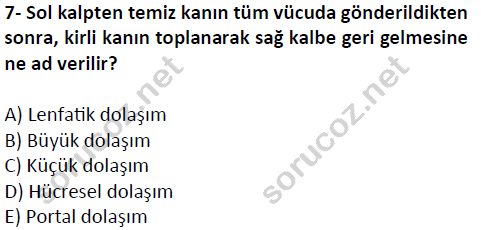 auzef cocukgelisimlisans 51 7