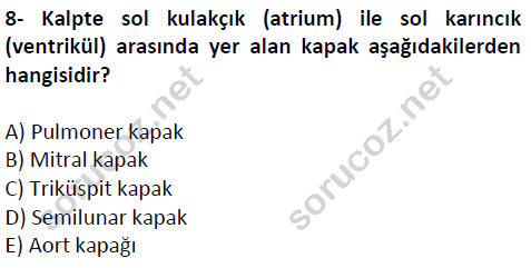 auzef cocukgelisimlisans 51 8