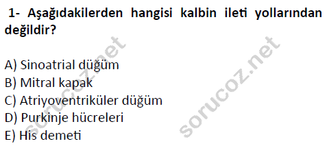 auzef cocukgelisimlisans 51 1