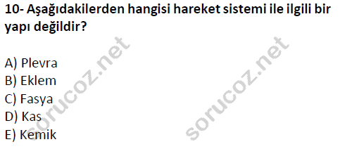 auzef cocukgelisimlisans 51 10