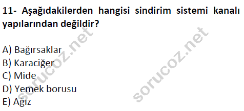 auzef cocukgelisimlisans 51 11