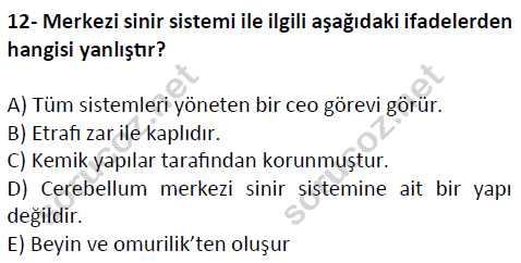 auzef cocukgelisimlisans 51 12