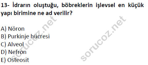 auzef cocukgelisimlisans 51 13