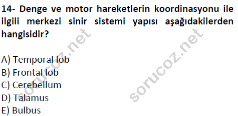 auzef cocukgelisimlisans 51 14