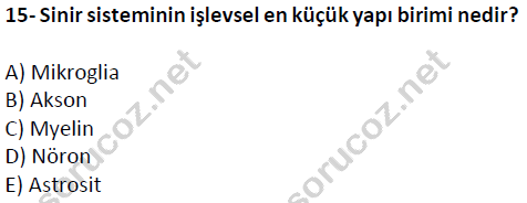 auzef cocukgelisimlisans 51 15