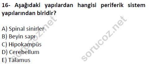 auzef cocukgelisimlisans 51 16