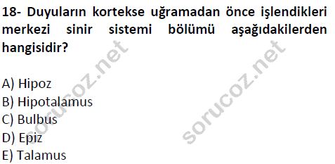 auzef cocukgelisimlisans 51 18