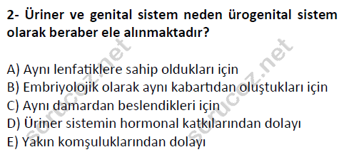 auzef cocukgelisimlisans 51 2