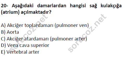 auzef cocukgelisimlisans 51 20