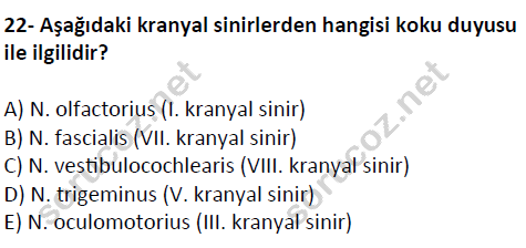 auzef cocukgelisimlisans 51 22