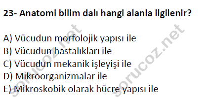 auzef cocukgelisimlisans 51 23