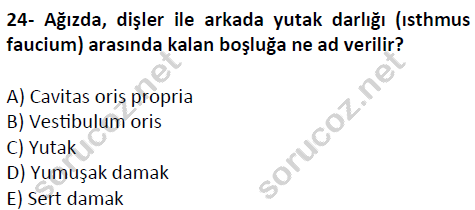 auzef cocukgelisimlisans 51 24