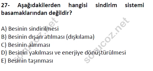 auzef cocukgelisimlisans 51 27