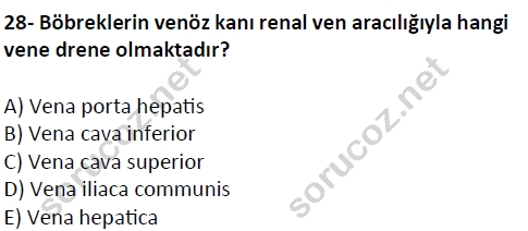 auzef cocukgelisimlisans 51 28