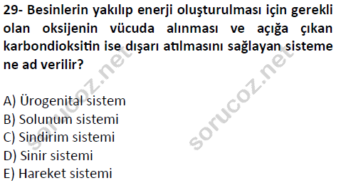 auzef cocukgelisimlisans 51 29