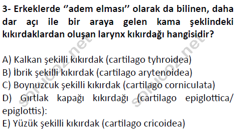 auzef cocukgelisimlisans 51 3