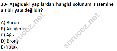 auzef cocukgelisimlisans 51 30