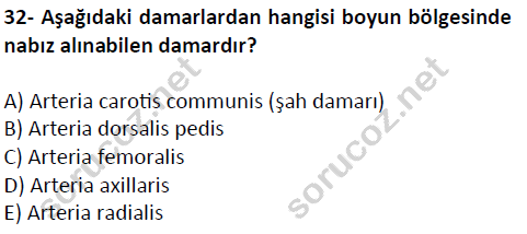 auzef cocukgelisimlisans 51 32