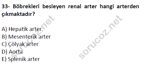 auzef cocukgelisimlisans 51 33