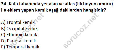 auzef cocukgelisimlisans 51 34