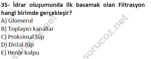 auzef cocukgelisimlisans 51 35