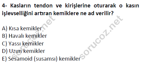 auzef cocukgelisimlisans 51 4