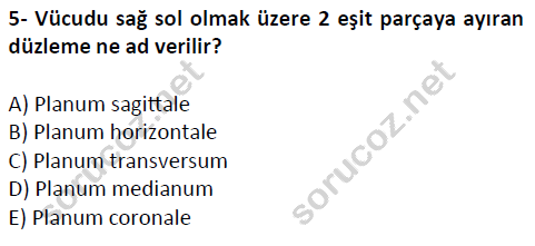 auzef cocukgelisimlisans 51 5