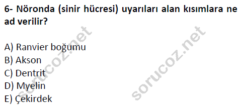 auzef cocukgelisimlisans 51 6